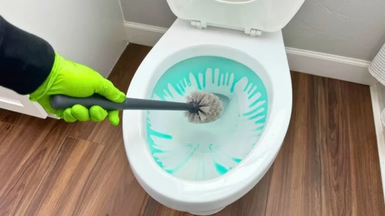 Toilet Cleaning Hacks
